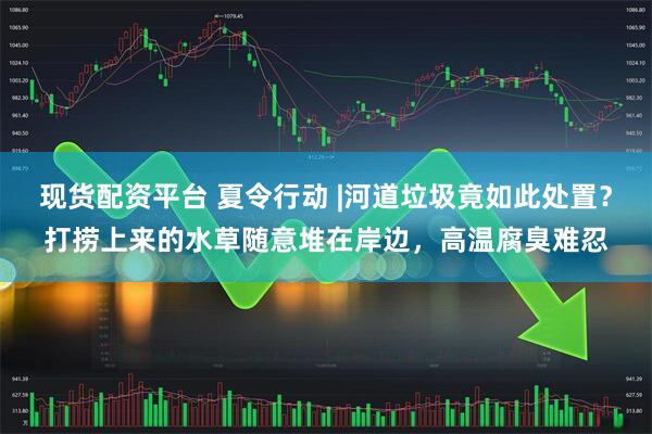 现货配资平台 夏令行动 |河道垃圾竟如此处置？打捞上来的水草随意堆在岸边，高温腐臭难忍