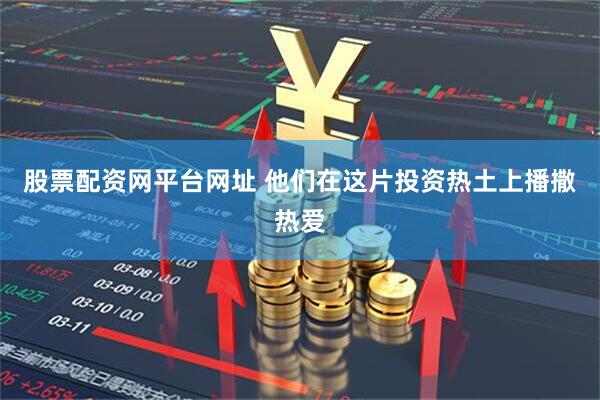 股票配资网平台网址 他们在这片投资热土上播撒热爱
