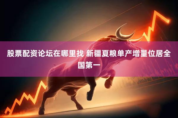 股票配资论坛在哪里找 新疆夏粮单产增量位居全国第一