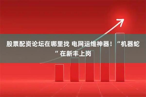 股票配资论坛在哪里找 电网运维神器！“机器蛇”在新丰上岗