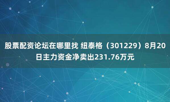 股票配资论坛在哪里找 纽泰格（301229）8月20日主力资金净卖出231.76万元