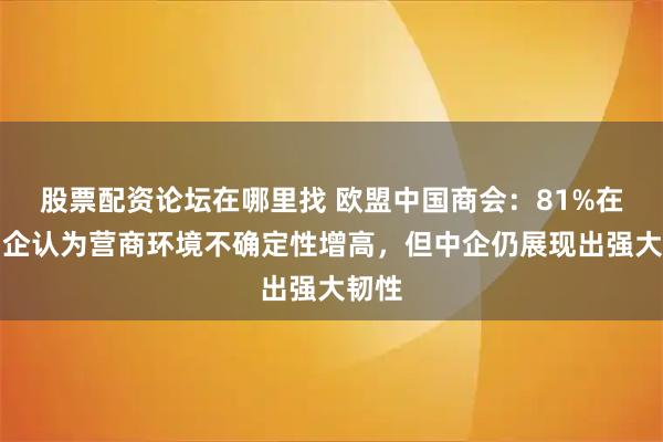 股票配资论坛在哪里找 欧盟中国商会:81%在欧中企认为营商环境不确定性增高,但中企仍展现出强大韧性