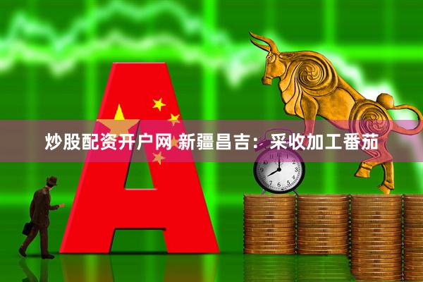 炒股配资开户网 新疆昌吉：采收加工番茄
